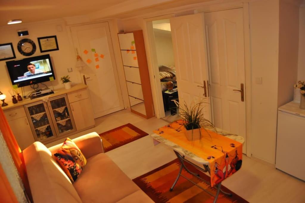 Deniz Manzarasi, Marti Sesleri Esliginde Apartment