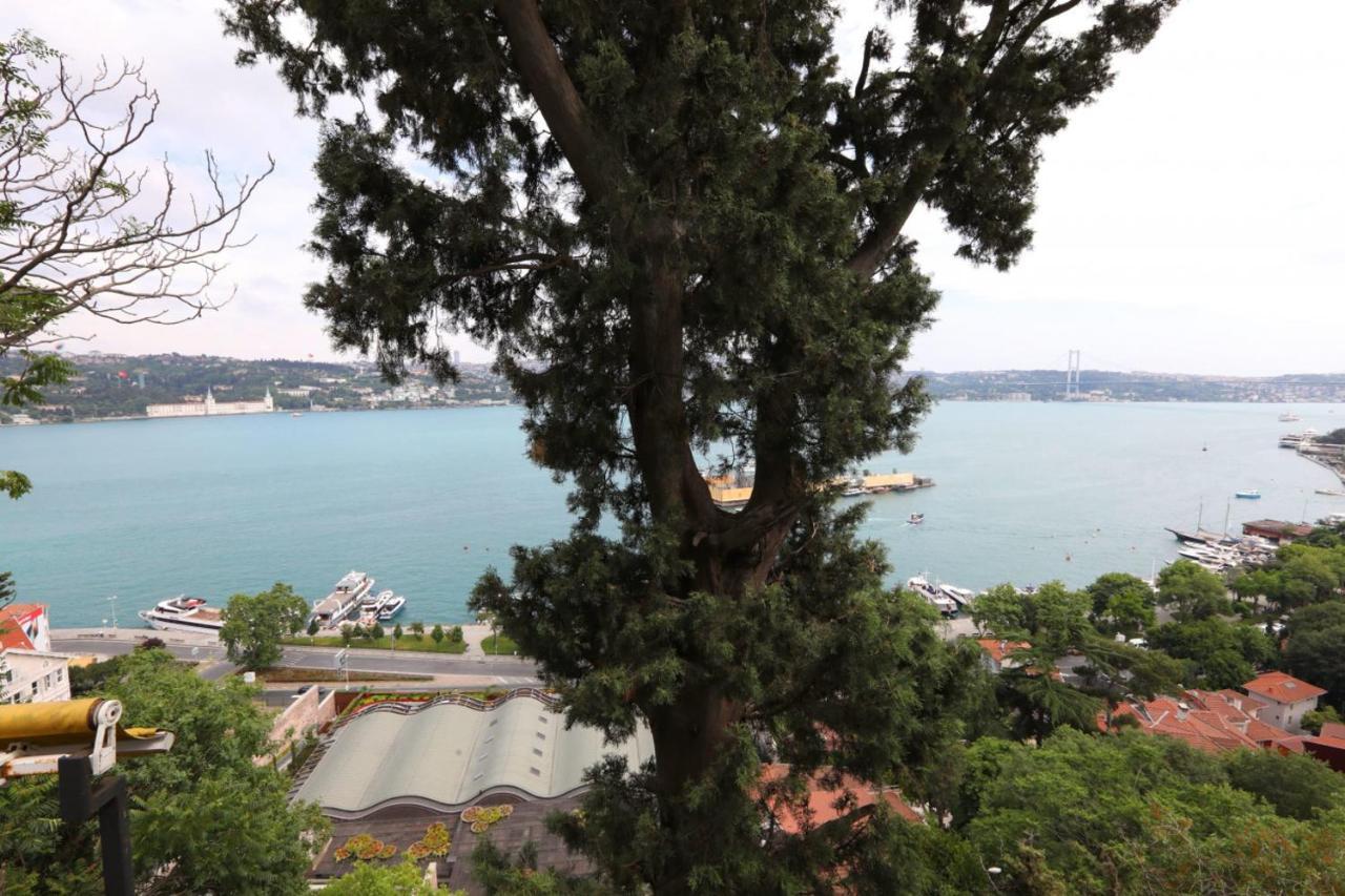 Apartment Exclusive Flat With Bosphorus View In Besiktas Istanbul
