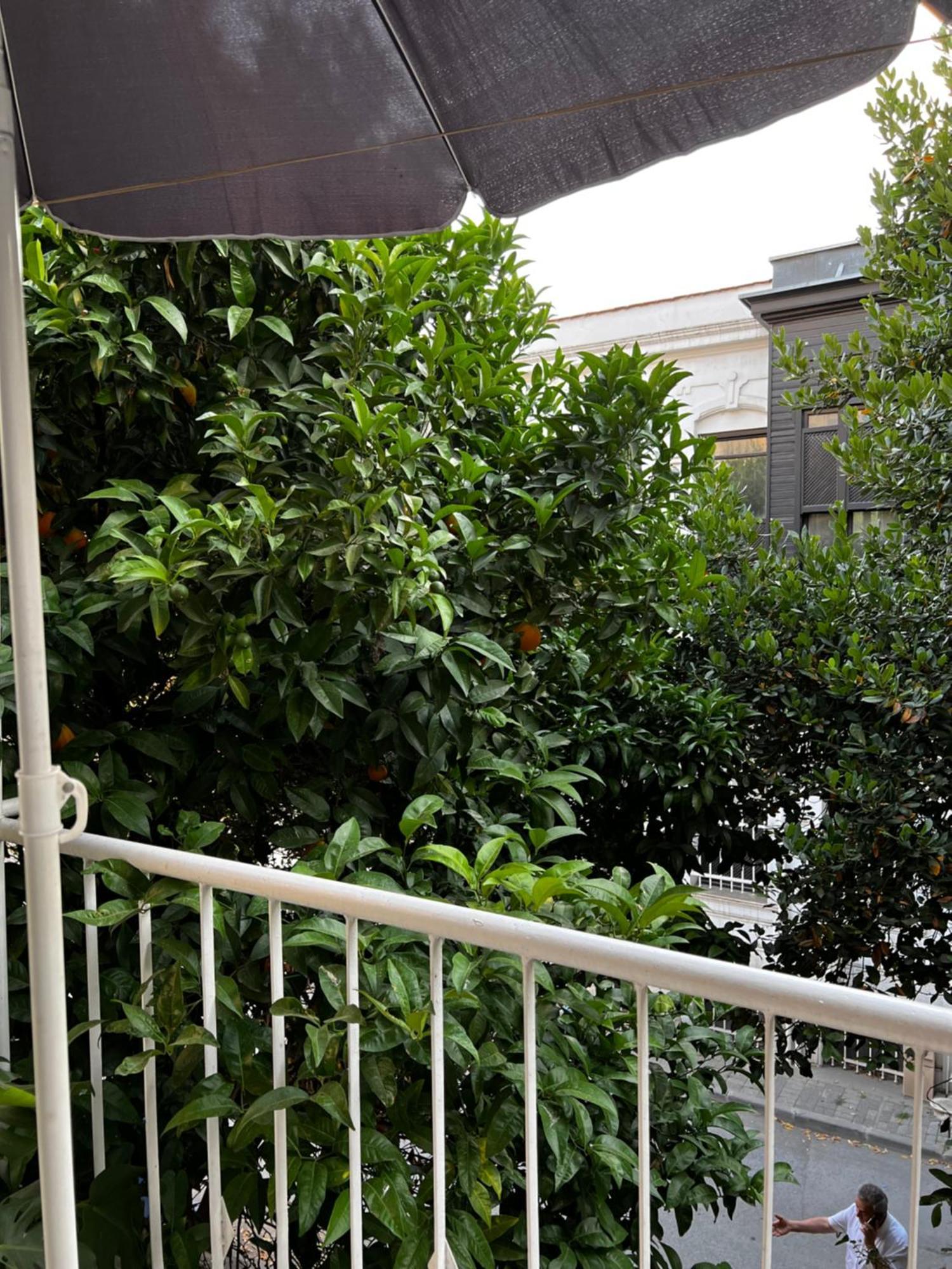 Very Close To Bosphorus, Beautiful 2 1 Salon Flat, Excellent Location Apartment Istanbul