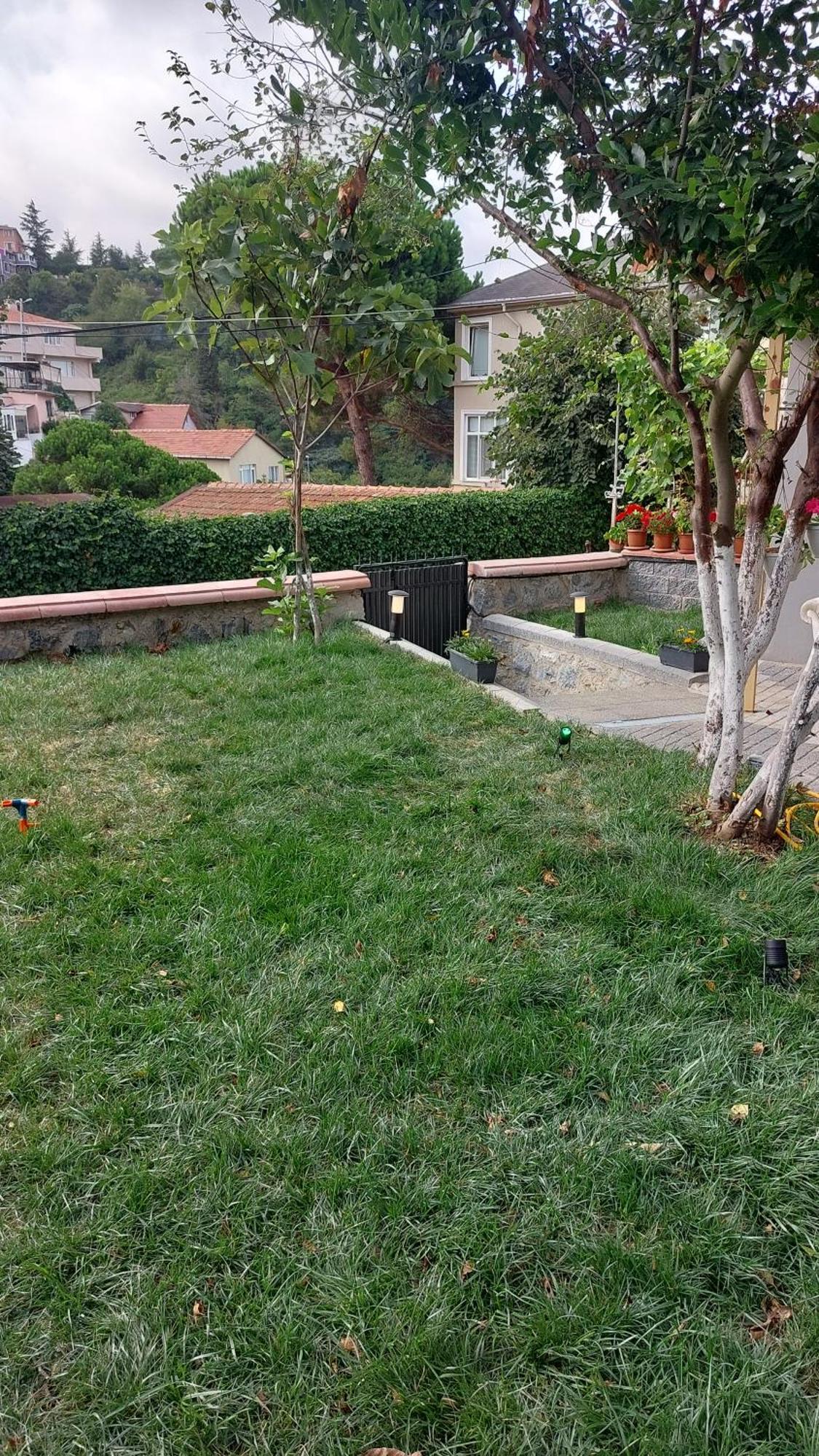Tarabya Family *