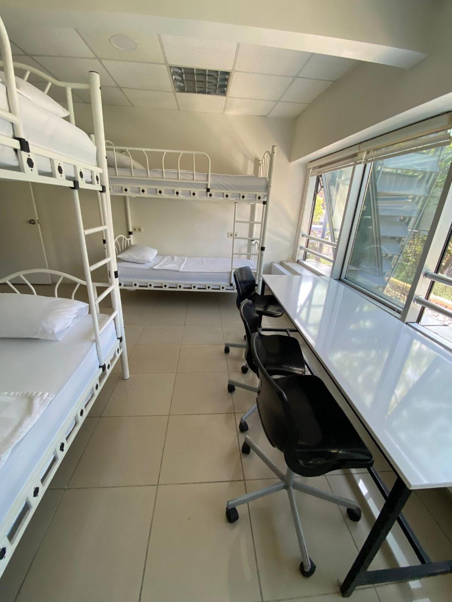Hostel Bull