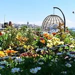 Hotel Garden Terrace