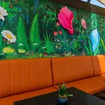 Aprilis Hotel - Special Category
