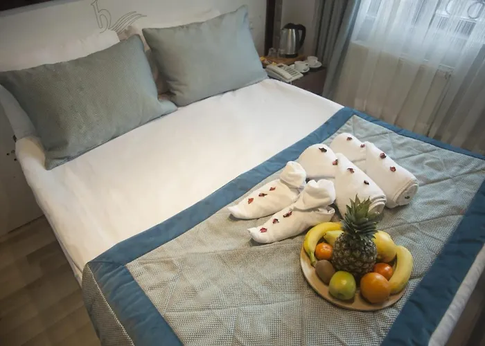 istanbul eser hotel