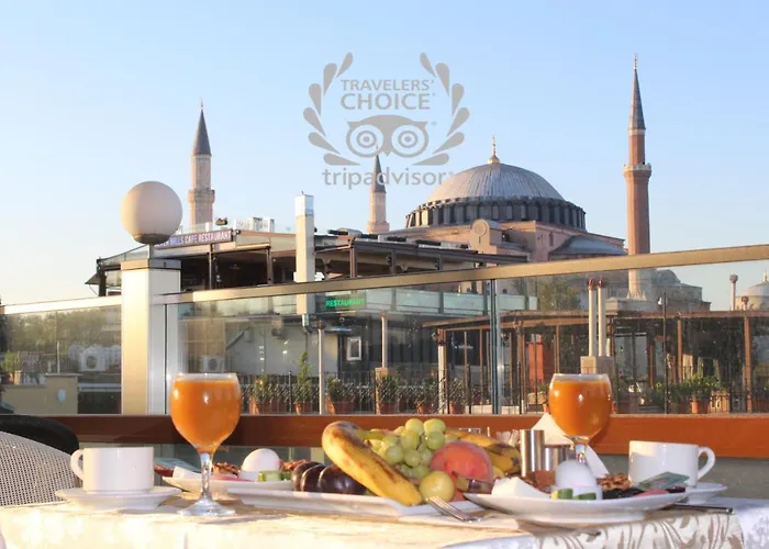 Nayla Palace Hotel-Special Category