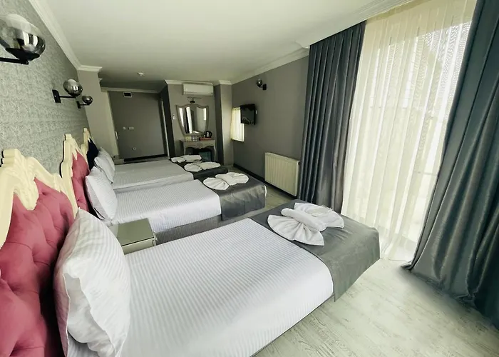 Old City Viva Hotel