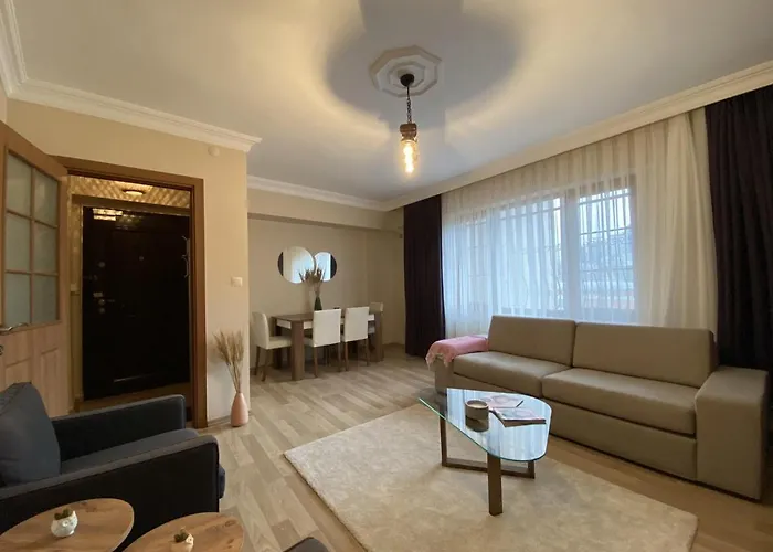 Distinguished Flat Near Pera Museum In Beyoglu