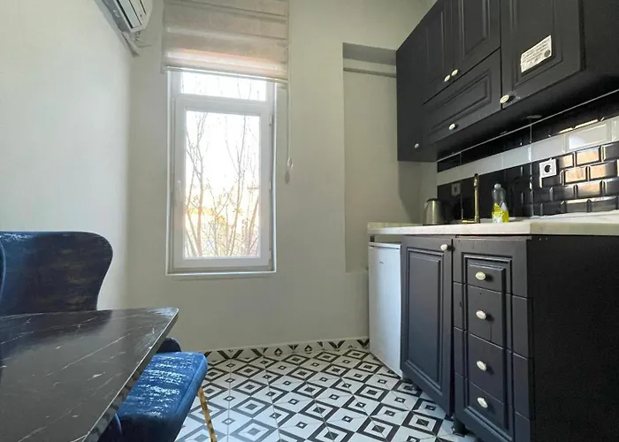 Beyoglu Deluxe Studyo Apartments Pera Homes84
