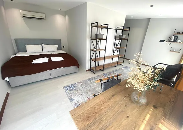 Double Studio With A Big Balcony And Nice View 51