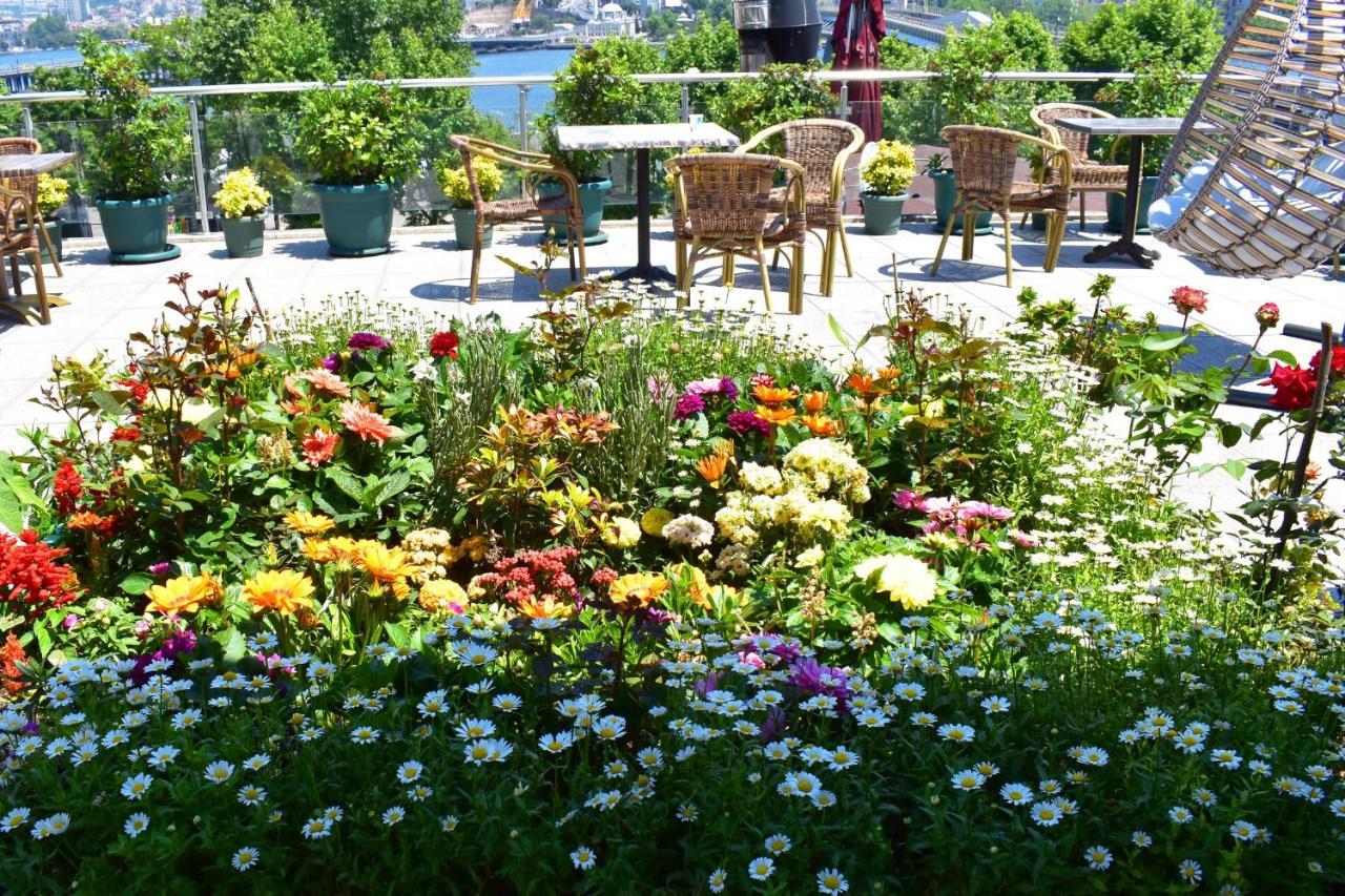 Garden Terrace Acomodação com café da manhã  3*