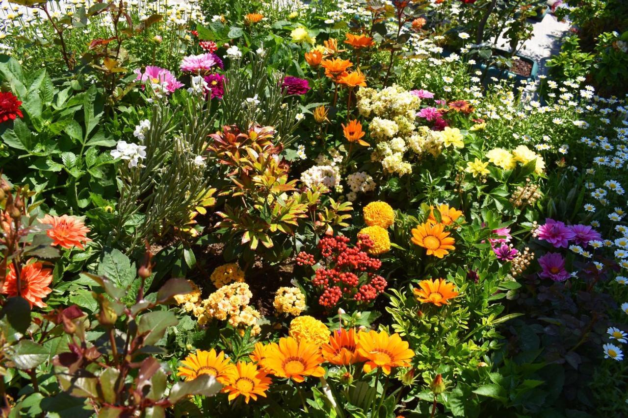 Garden Terrace 3*