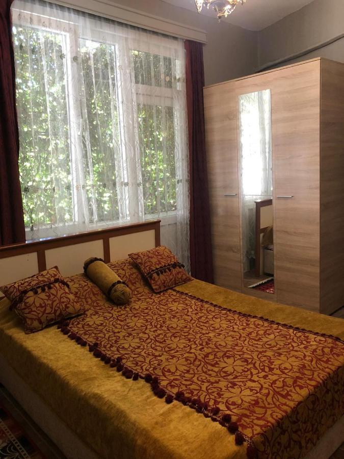 Bahaus Hostel *