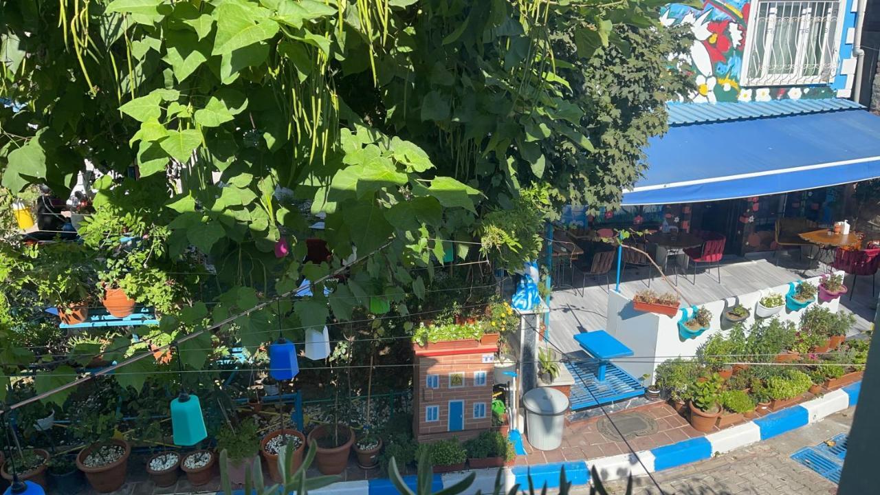 Sultanahmet ışil * İstanbul