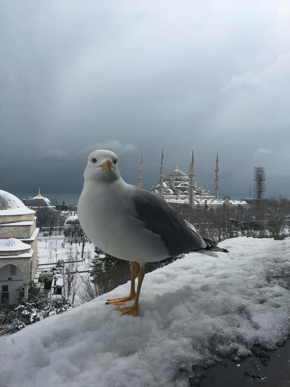 Esra Sultan Petrol Hotel Istanbul