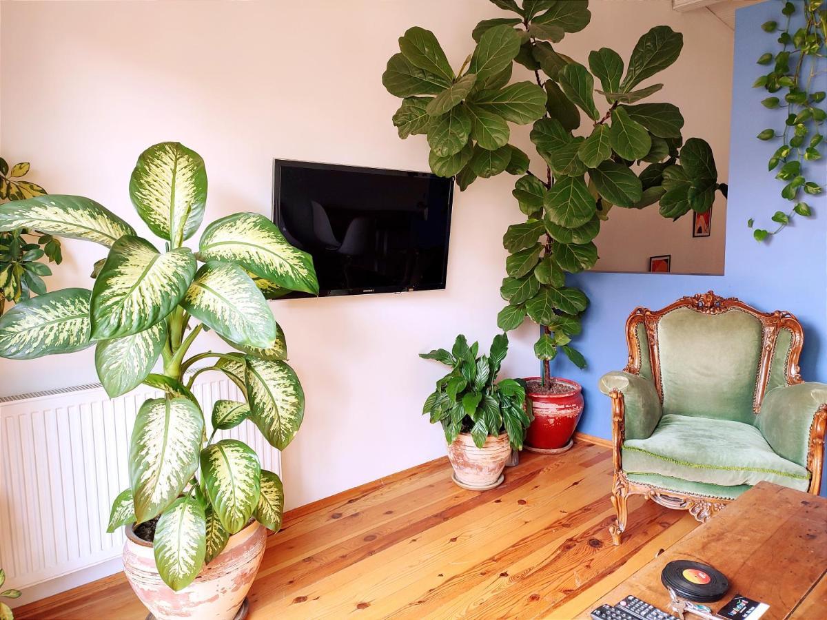 Apartment Kunterbunt Aparts *