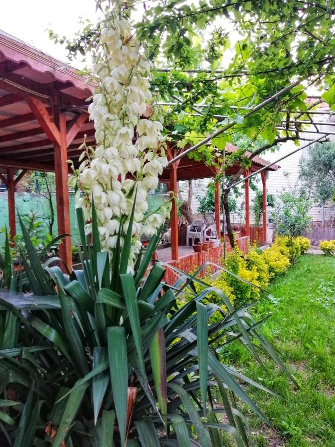 Kilic Motel