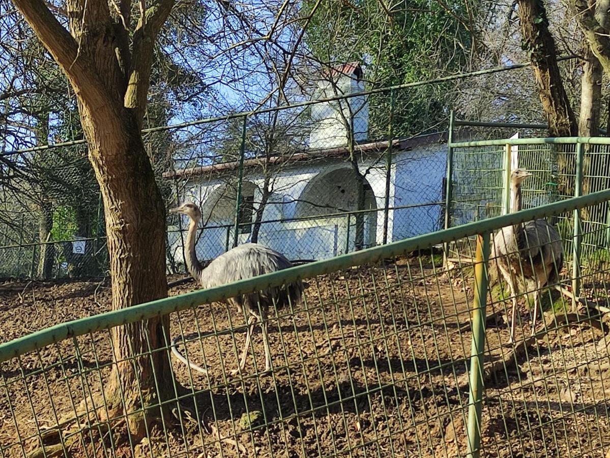 Resort Polonezkoey Country Club & In The Wildlife Park!