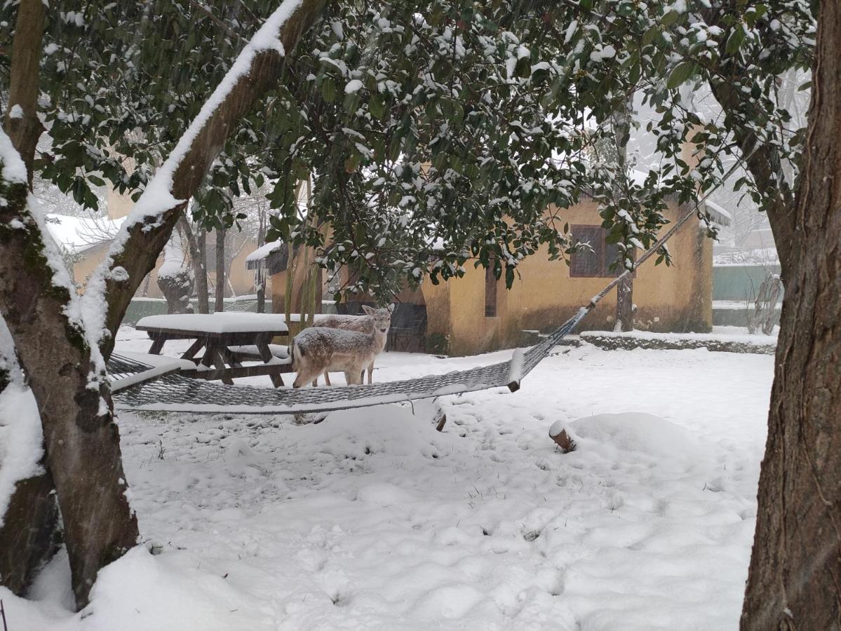 Polonezkoey Country Club & In The Wildlife Park! 3* Istambul