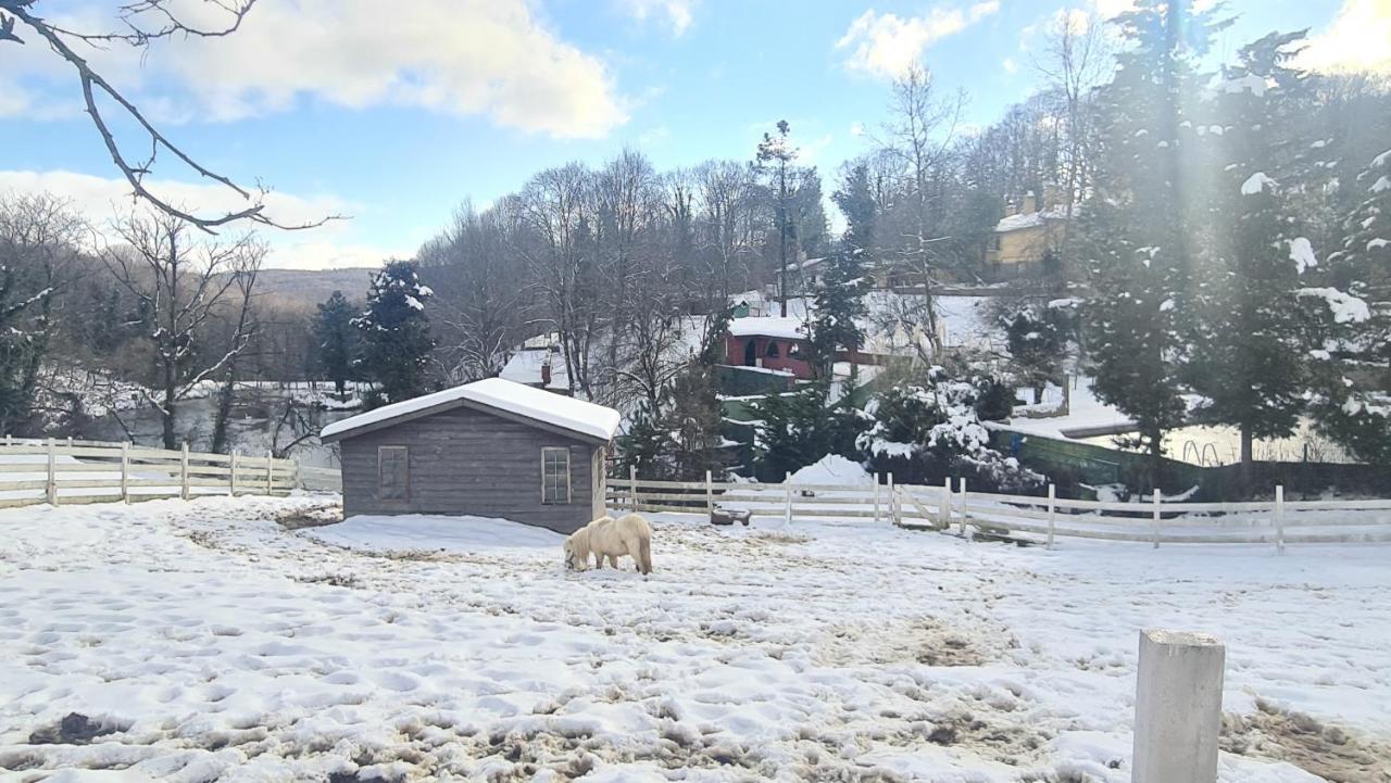 Polonezkoey Country Club & In The Wildlife Park! Istambul