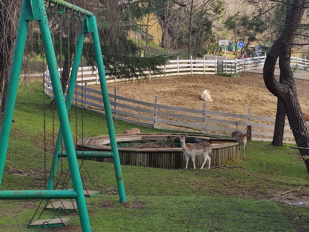 Polonezkoey Country Club & In The Wildlife Park! Resort Istambul
