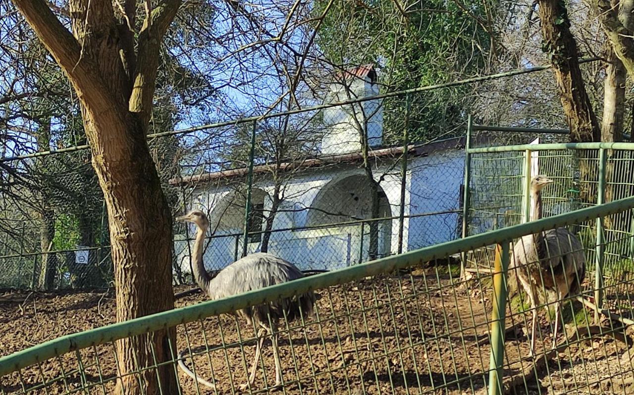 Polonezkoey Country Club & In The Wildlife Park! 3* Istambul