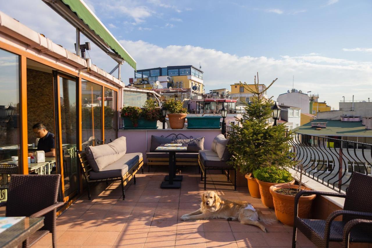 Hostel Agora