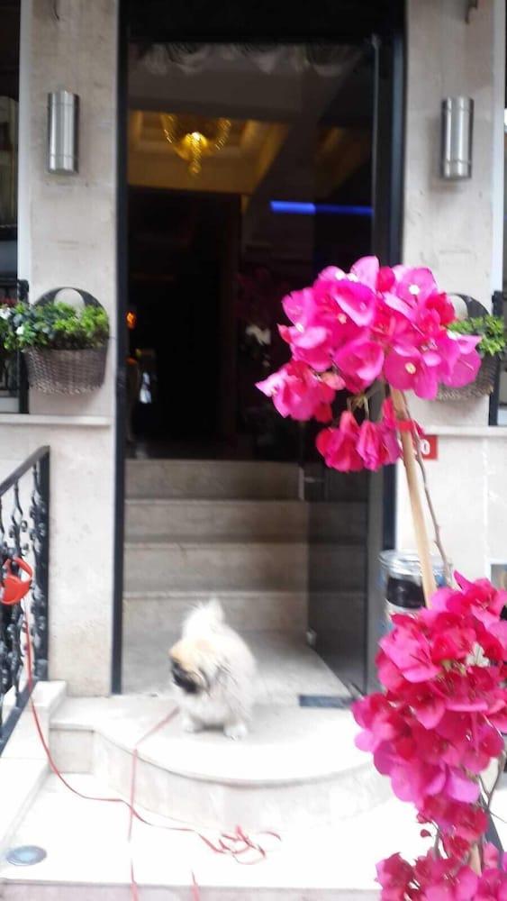 Pearl Otel 3*