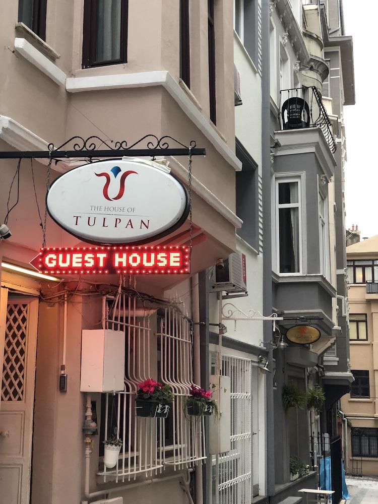 The House Of Tulpan