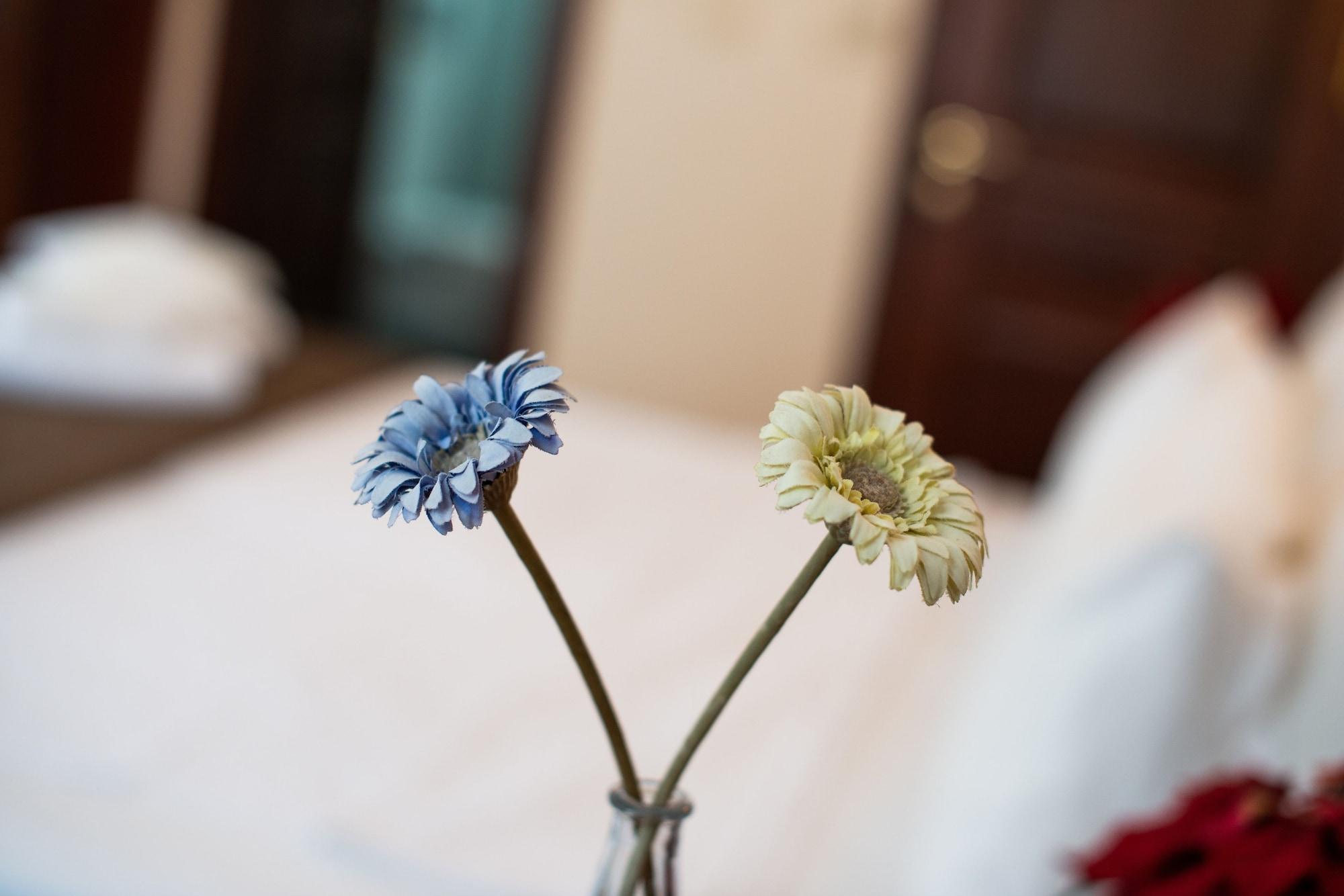 Hotel Sultanahmet Cesme 3*