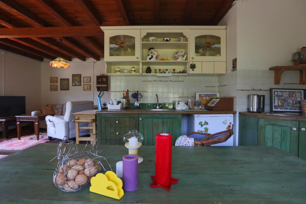 Cozy Mountain House Surrounded By Nature In Beykoz