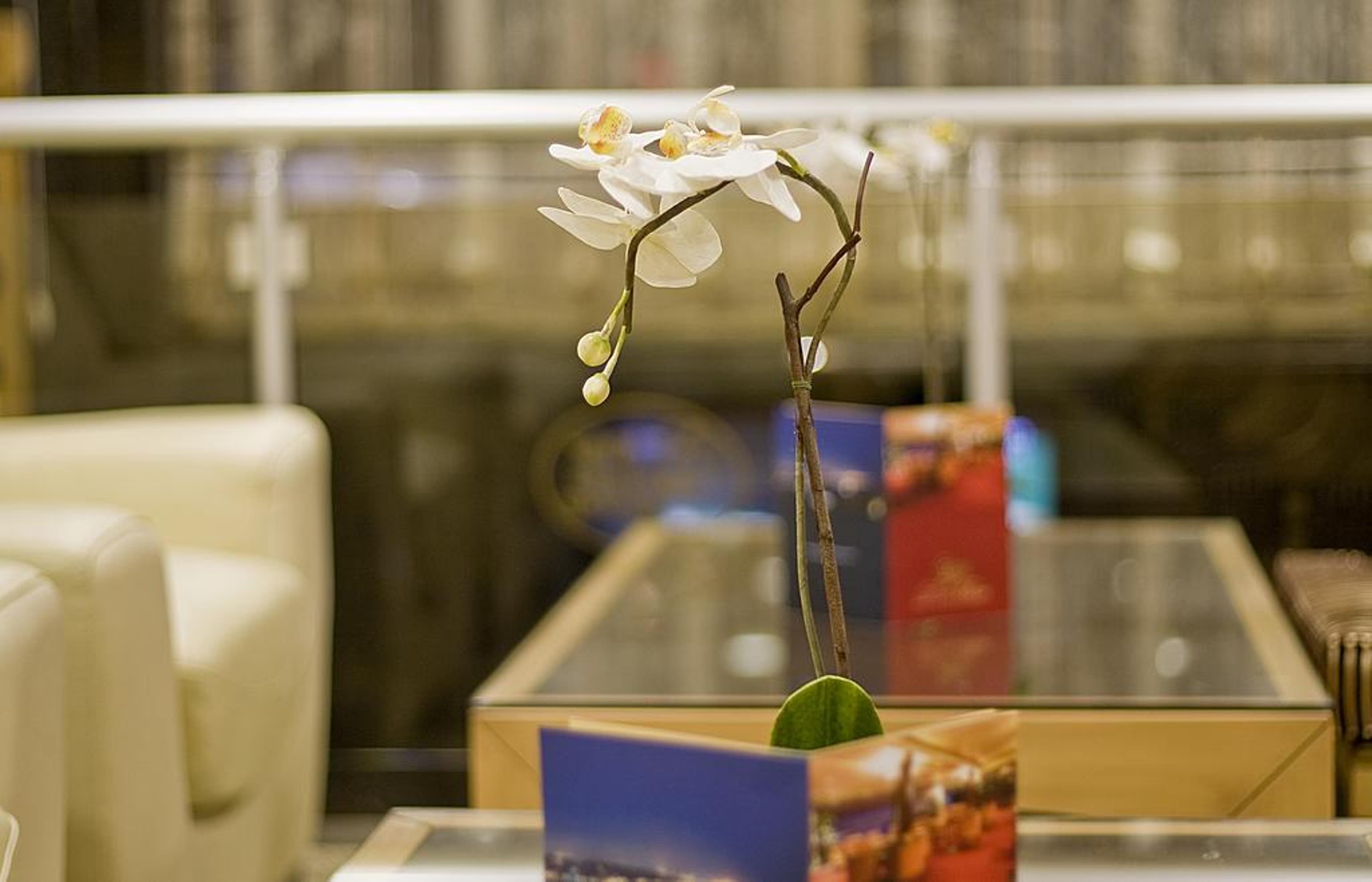 Park Star Taksim 3* Istambul