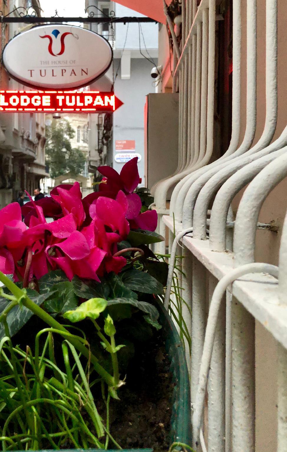The House Of Tulpan Hotel