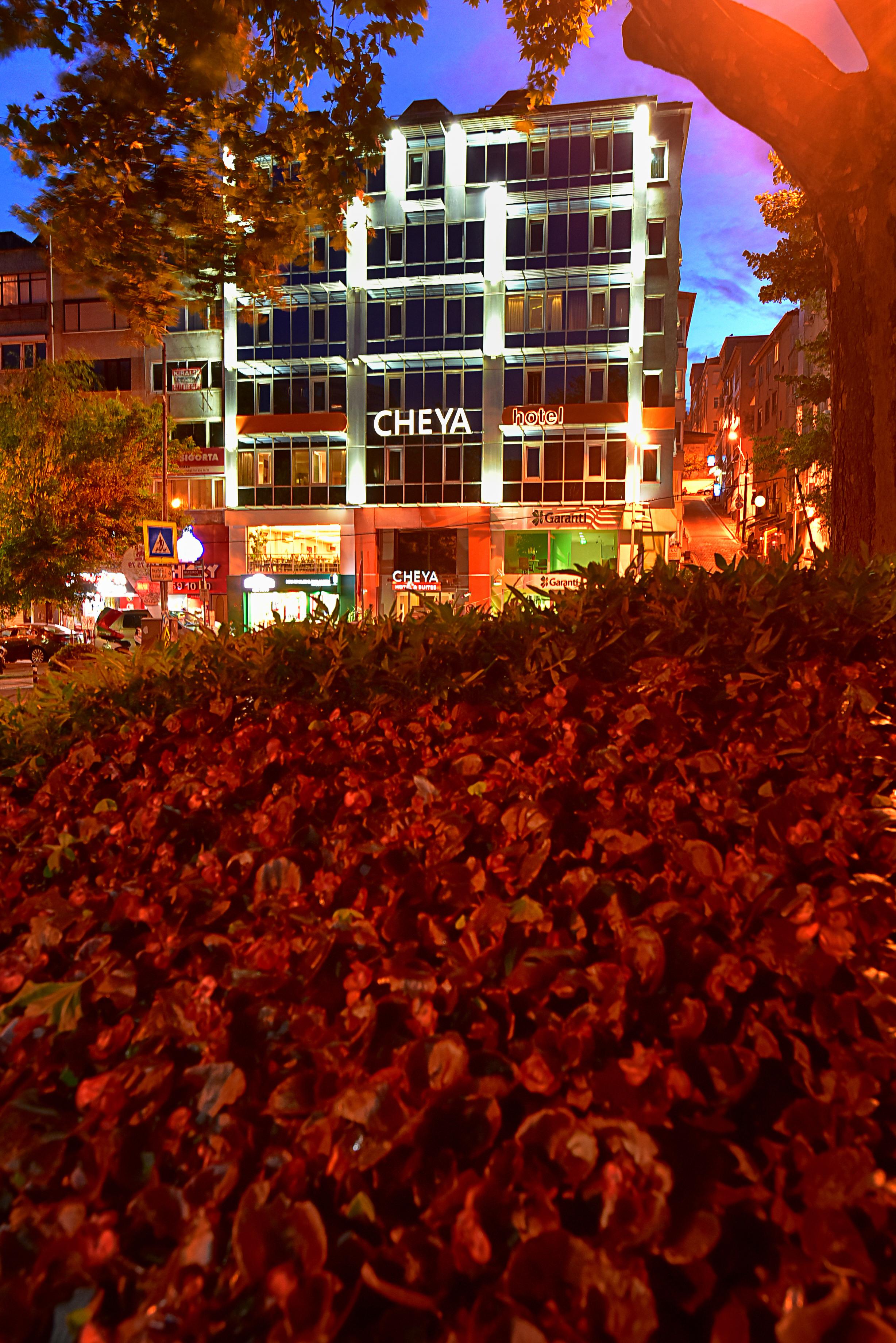 Cheya Besiktas Bosphorus Center &