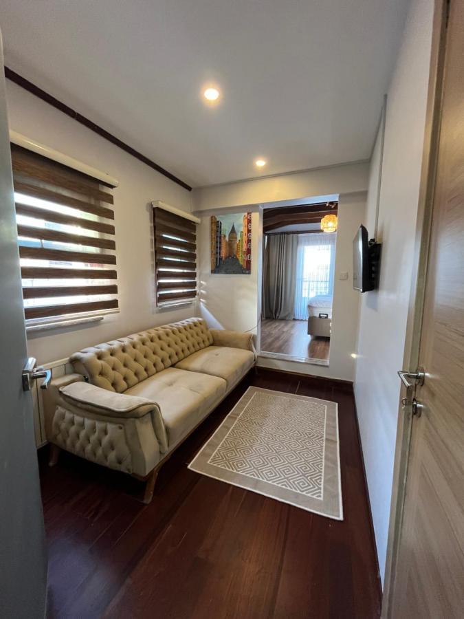 Palmera Art House *