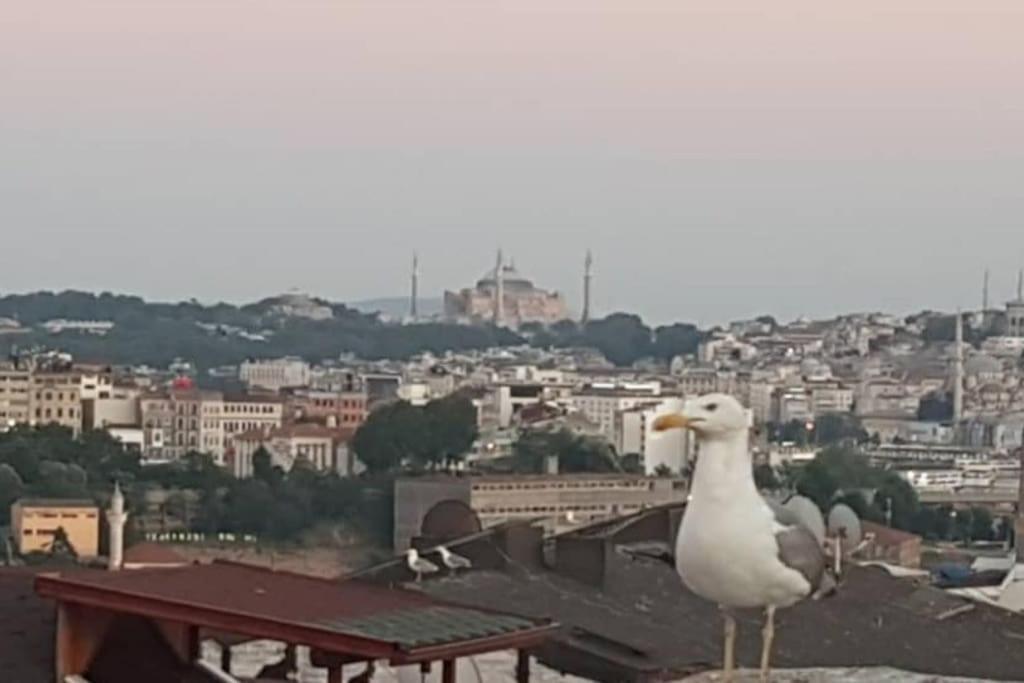 Deniz Manzarasi, Marti Sesleri Esliginde Apartment Istanbul