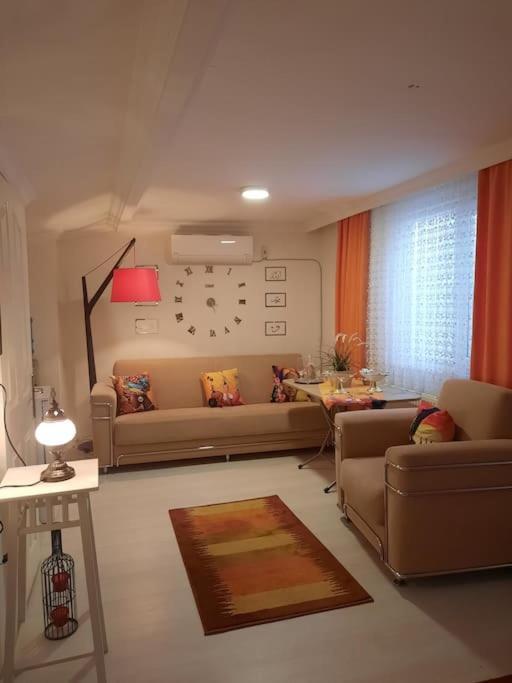 Deniz Manzarasi, Marti Sesleri Esliginde Apartment Istanbul