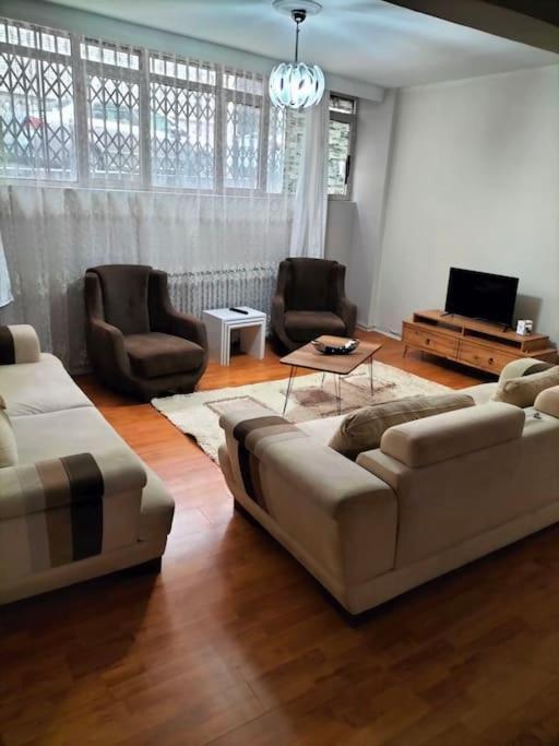 Ozcan Sisli 02