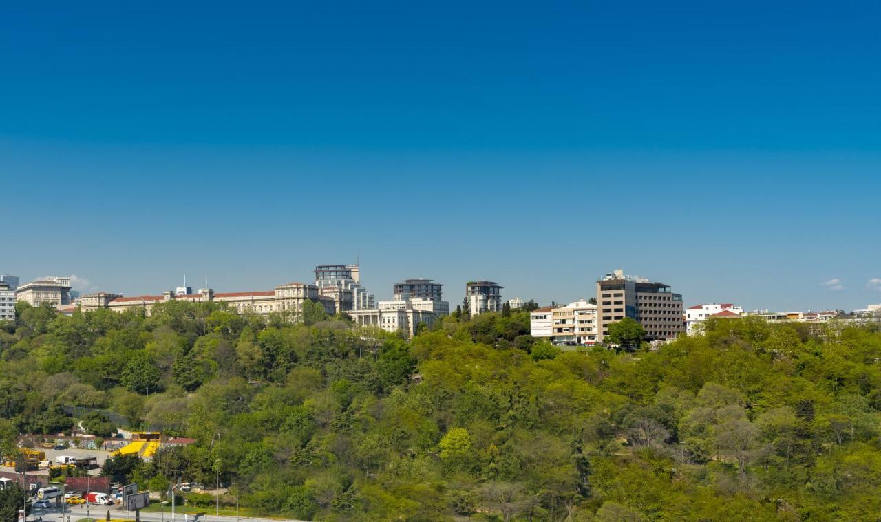 The Ritz-carlton, At The Bosphorus