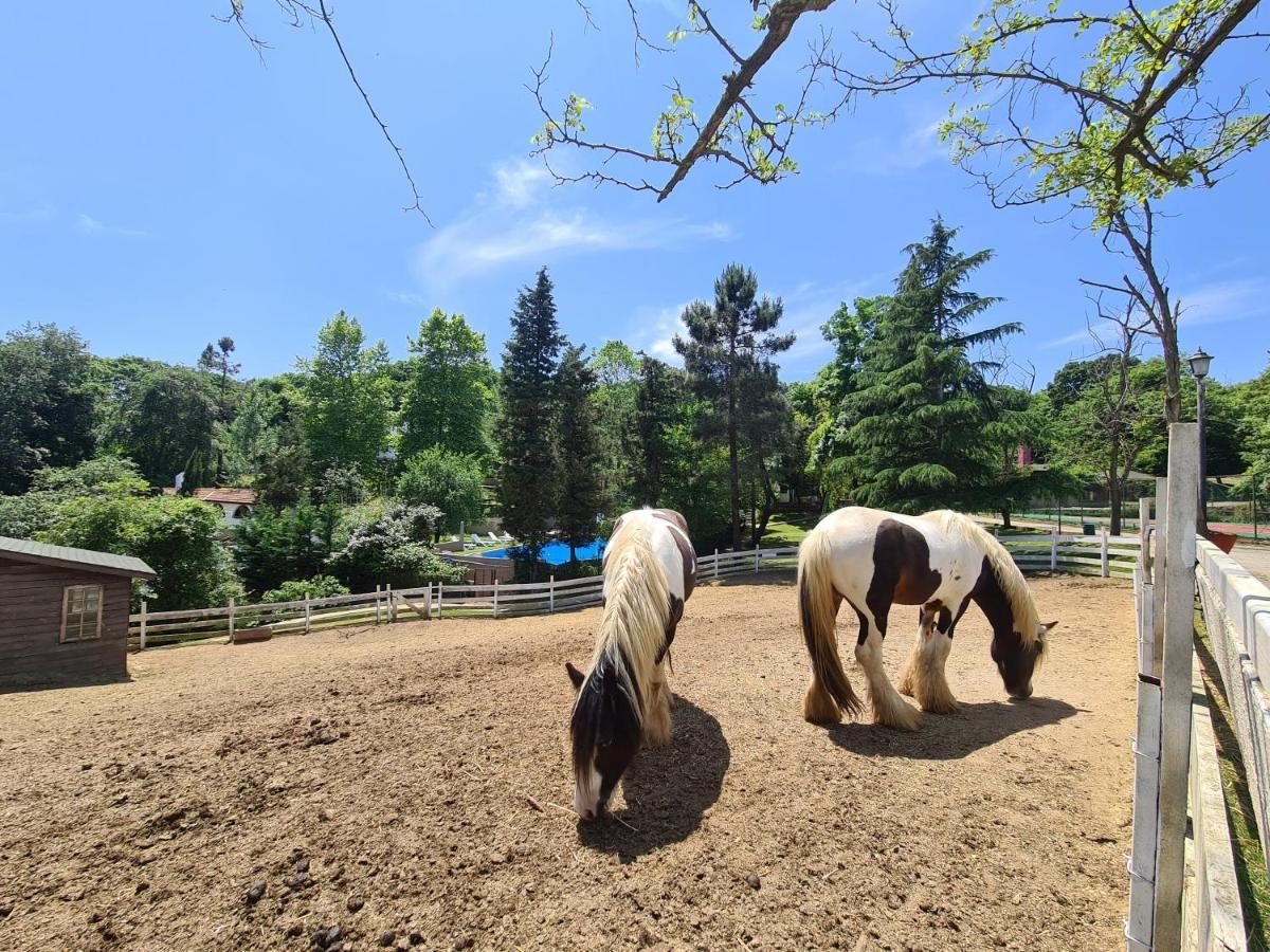 Polonezkoey Country Club & In The Wildlife Park! 3* Istambul