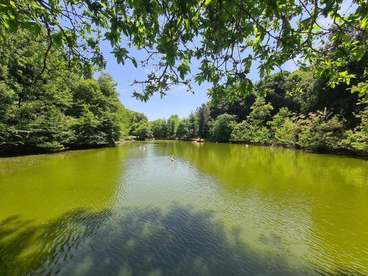 Polonezkoey Country Club & In The Wildlife Park! Resort Istambul