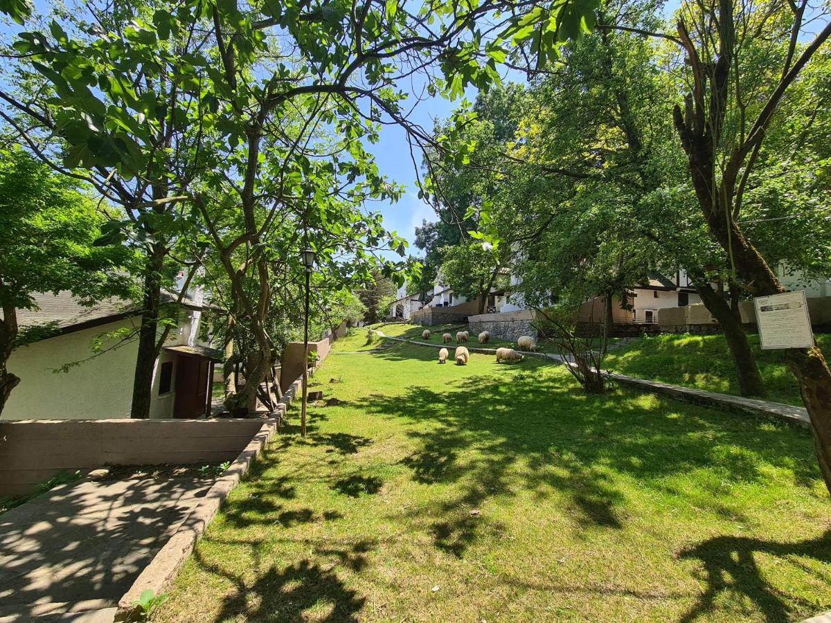 Polonezkoey Country Club & In The Wildlife Park! Istambul