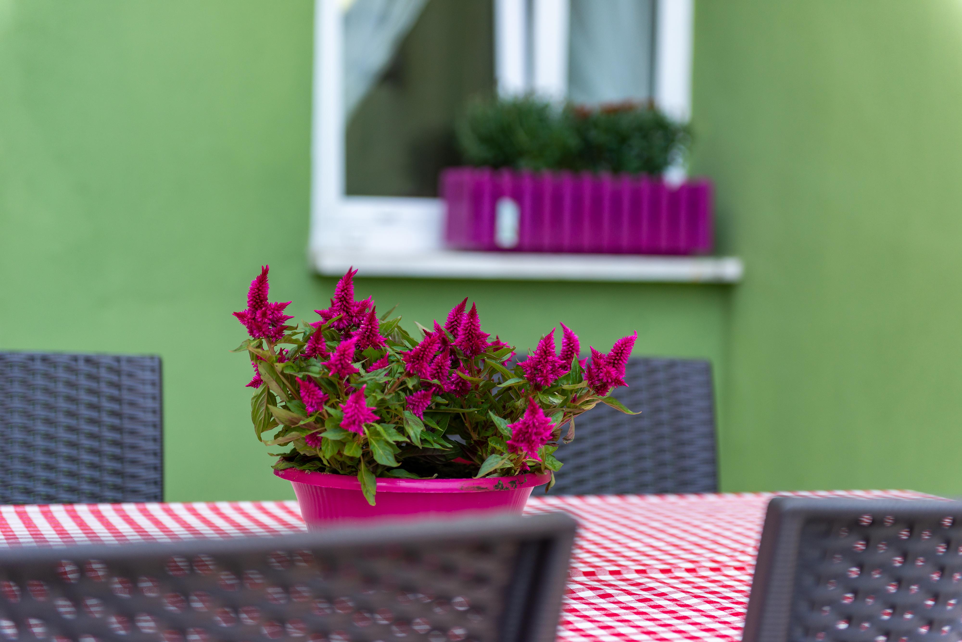 Dualis Hotel