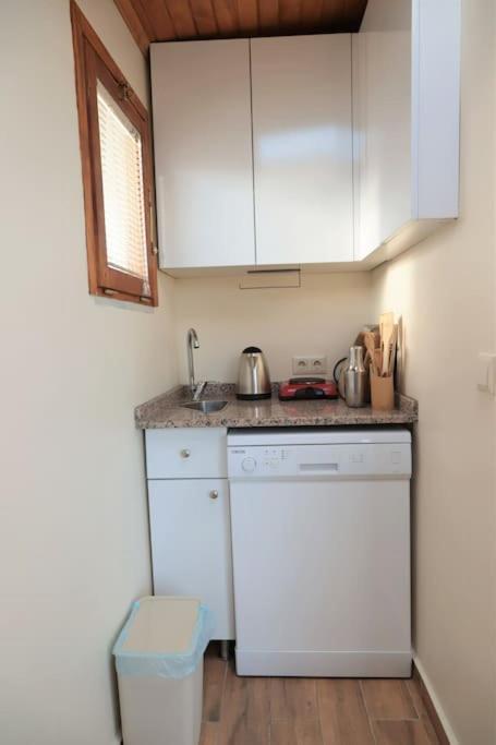 Apartment Waterfront Tiny House Bosphorus With Exceptional Terrace Istanbul