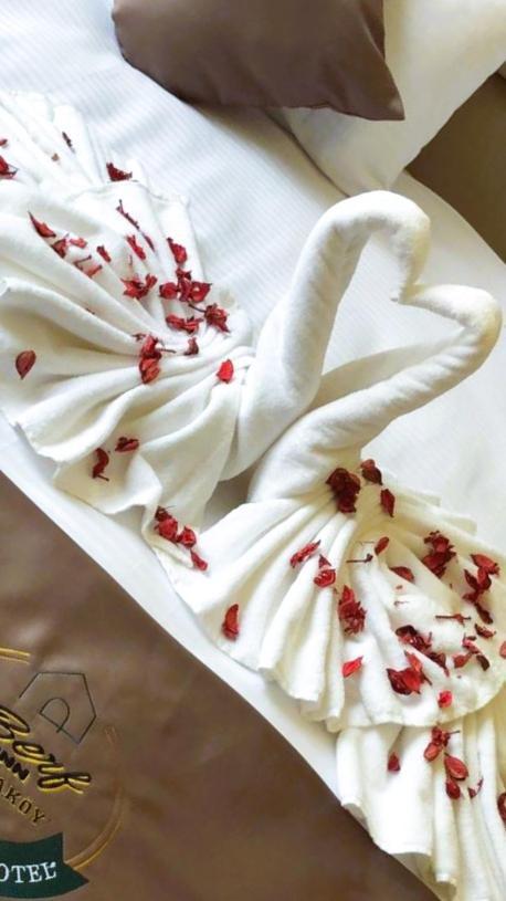Hotel Berfinn Ortakoey Istanbul