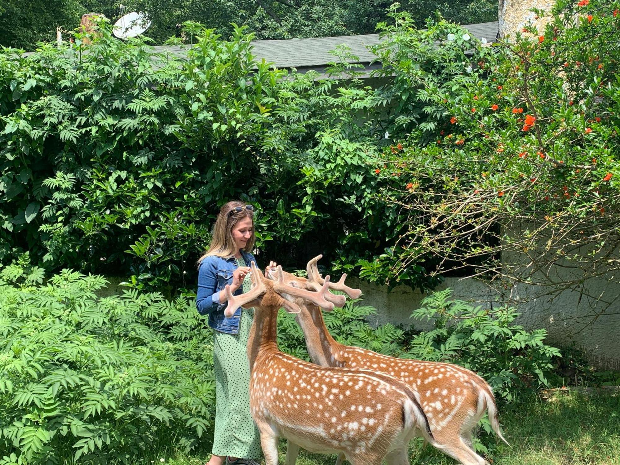 Polonezkoey Country Club & In The Wildlife Park! 3* Istambul