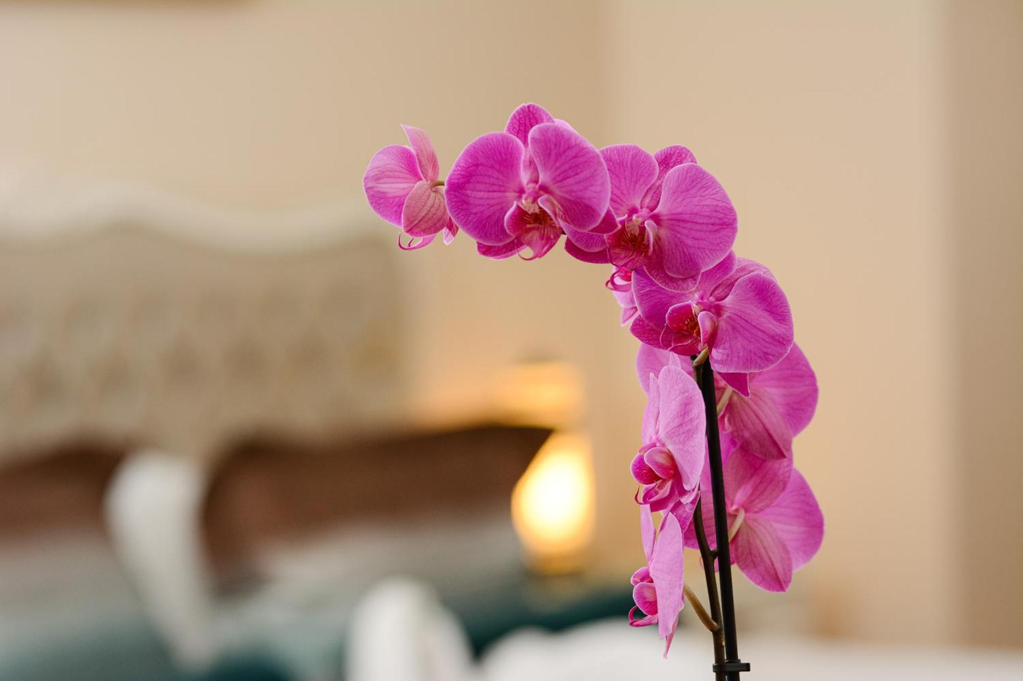 Recital Hotel