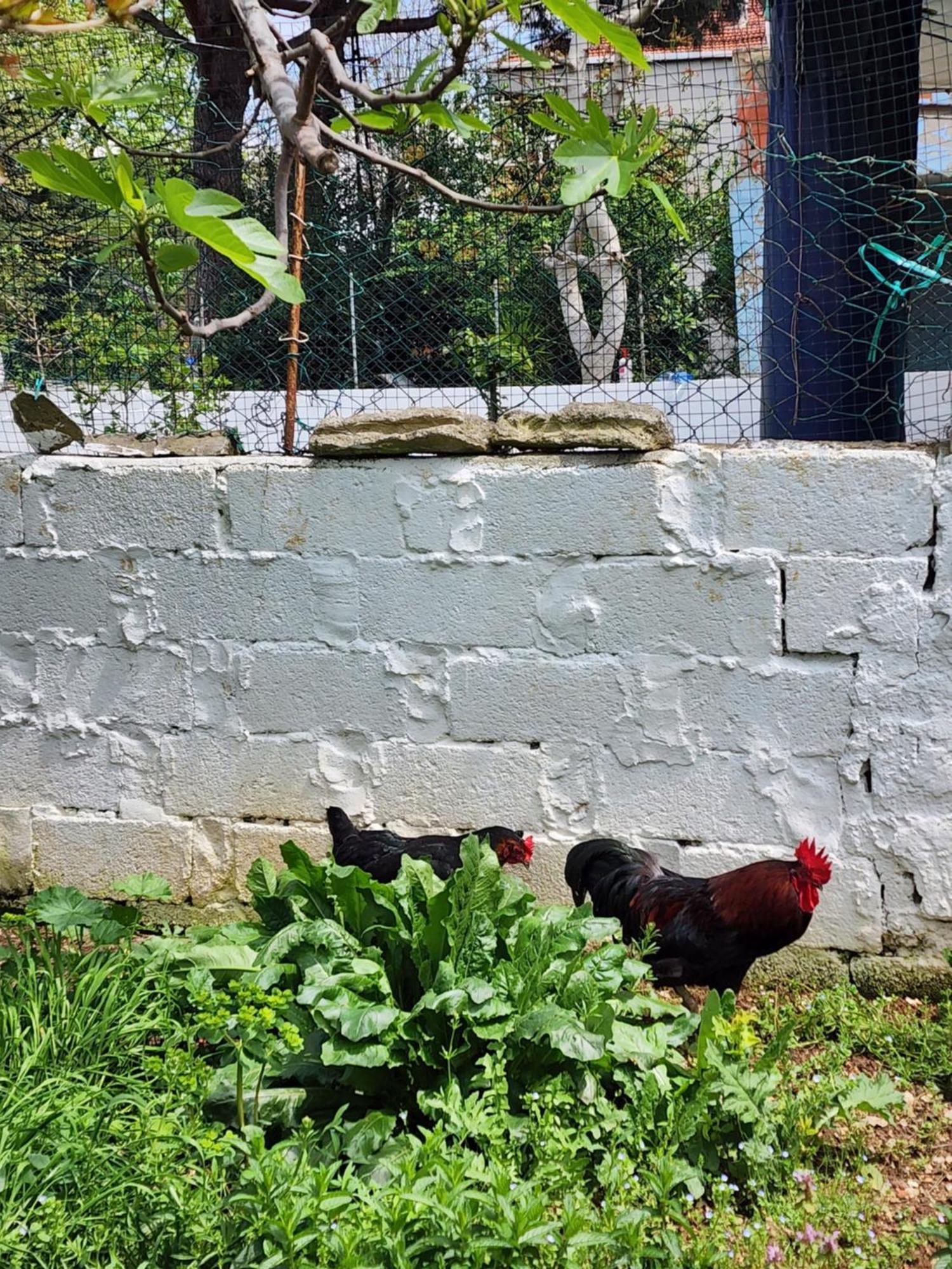Two Bedroom Flat In The Garden At The Bosphorus Istanbul