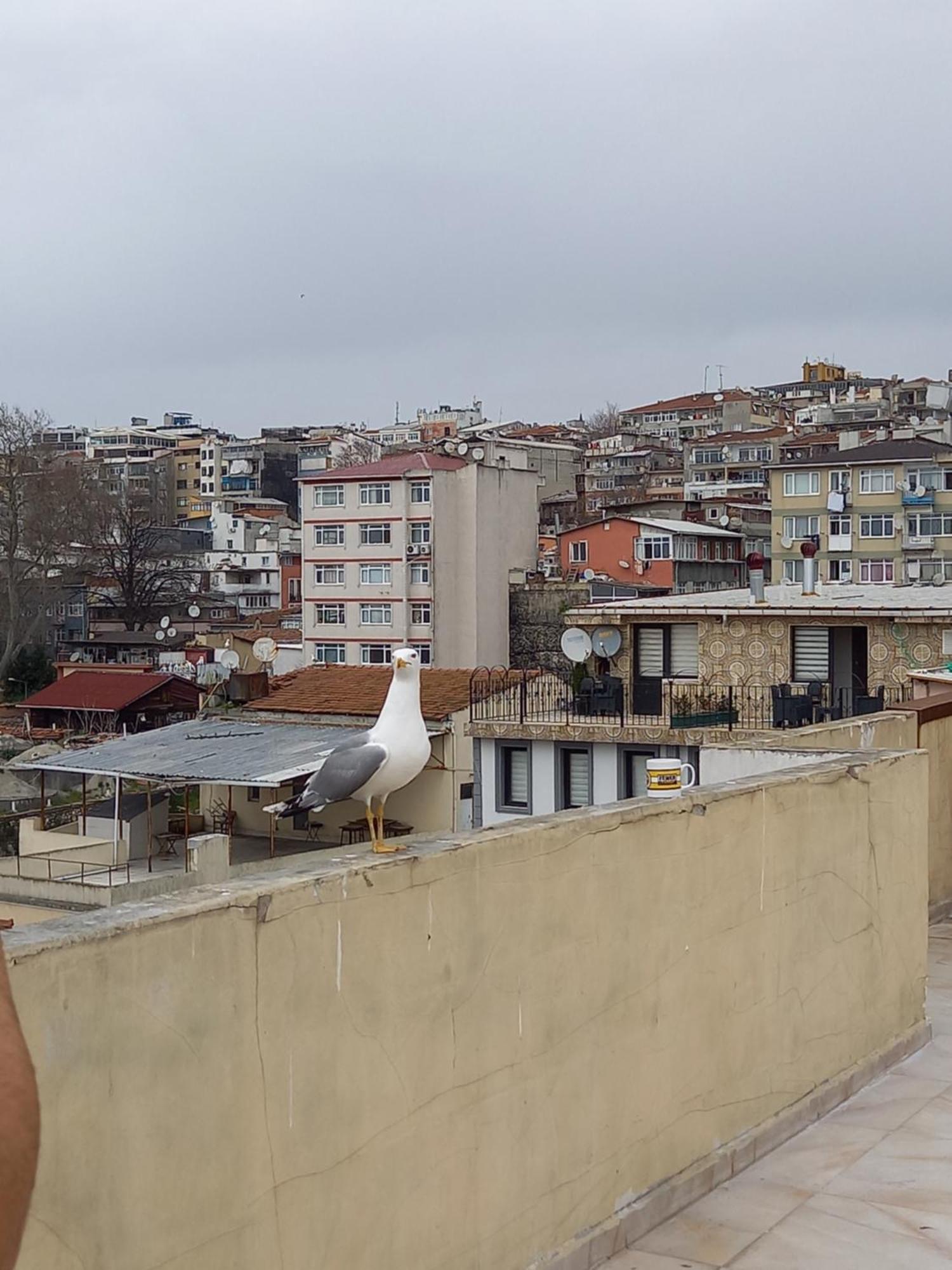 Avsin 3* Istanbul