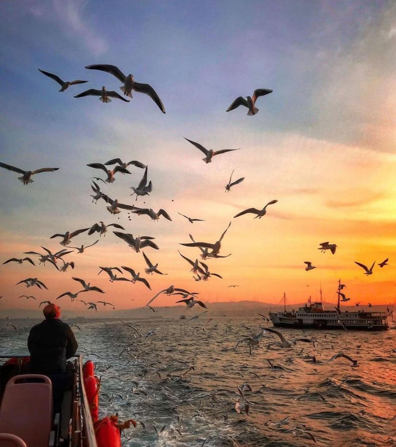 Happy Boutique 3* Istanbul