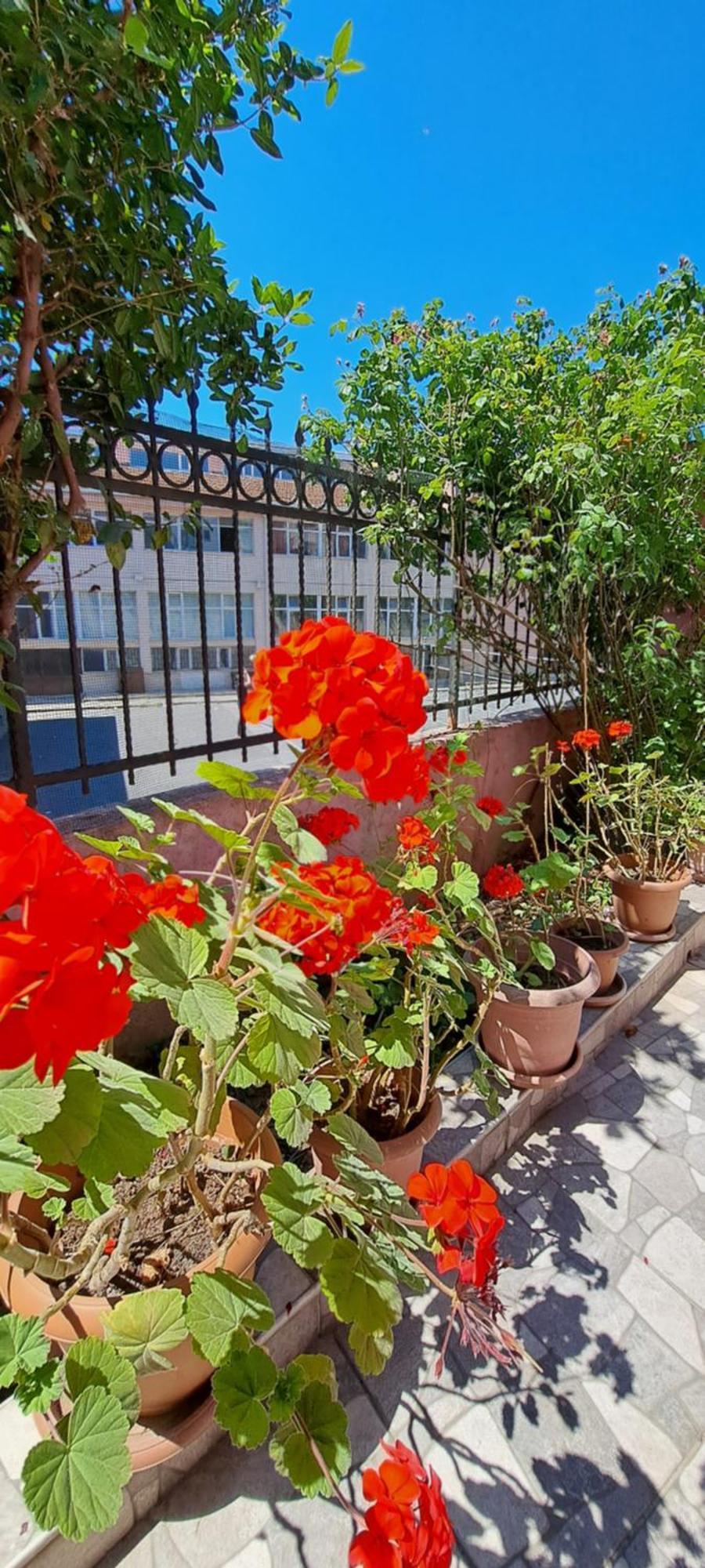 Apartment Golden Life Gl